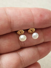 Load image into Gallery viewer, Piccolo