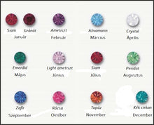 Load image into Gallery viewer, Insieme